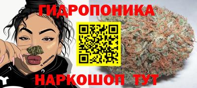 PSILOCYBIN Шахты