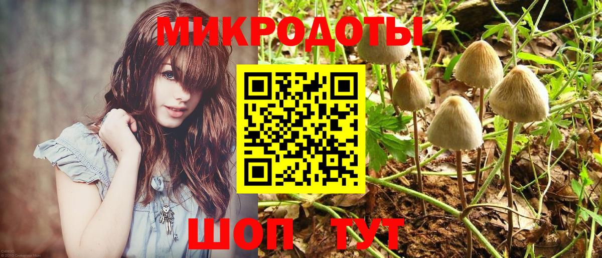 Галлюциногенные грибы мухоморы Грязи