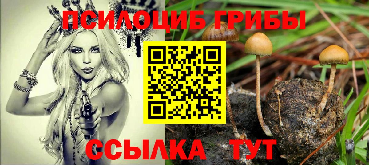 Галлюциногенные грибы Psilocybe  купить наркоту  Грязи  Галлюциногенные грибы Magic Shrooms  Вход с VPN 